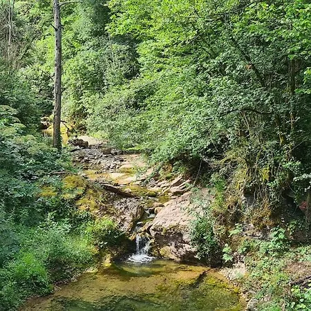 Vallespir Au Fil De L'eau Immersion Nature * Lamanere