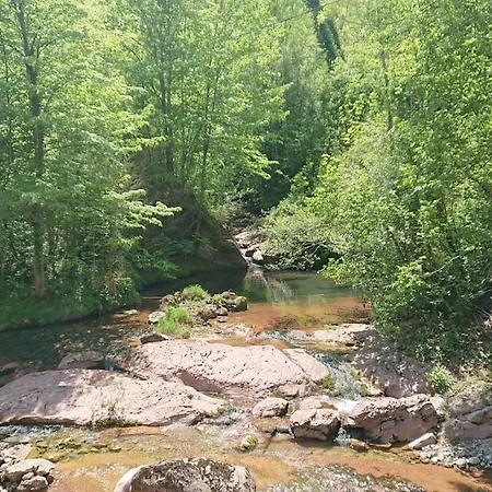 Vallespir Au Fil De L'eau Immersion Nature