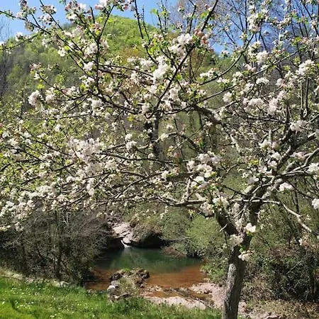 Vallespir Au Fil De L'eau Immersion Nature Chalet