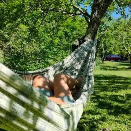Vallespir Au Fil De L'eau Immersion Nature Chalet Lamanere