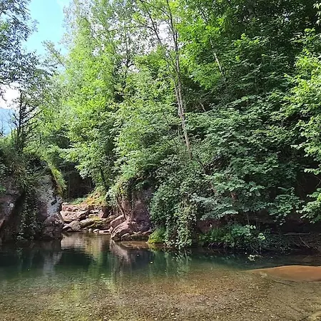 Vallespir Au Fil De L'eau Immersion Nature Lamanere