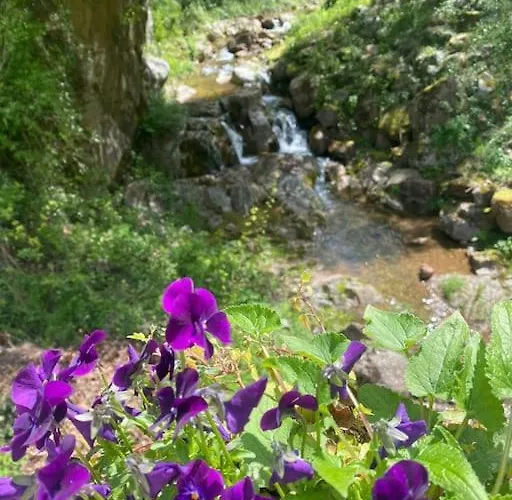 Vallespir Au Fil De L'eau Immersion Nature Dağ evi
