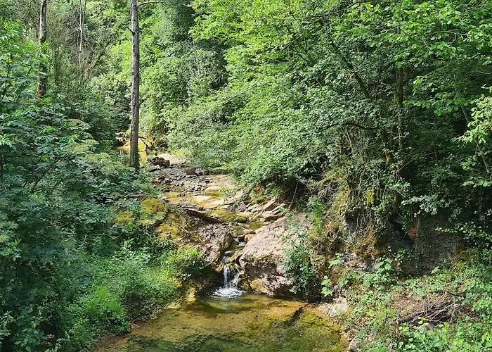 Vallespir Au Fil De L'eau Immersion Nature * Lamanere
