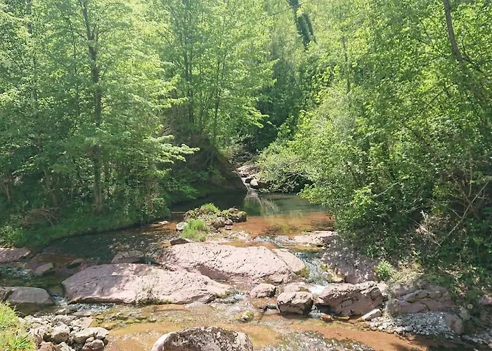 Vallespir Au Fil De L'eau Immersion Nature