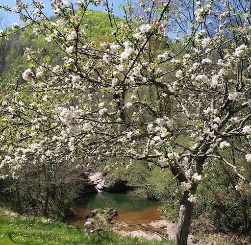 Vallespir Au Fil De L'eau Immersion Nature Dağ evi